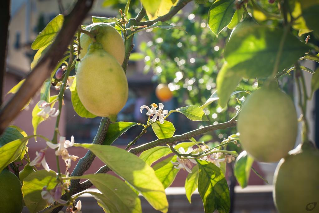 La Sosta Degli Artisti Bed & Breakfast Pietrasanta